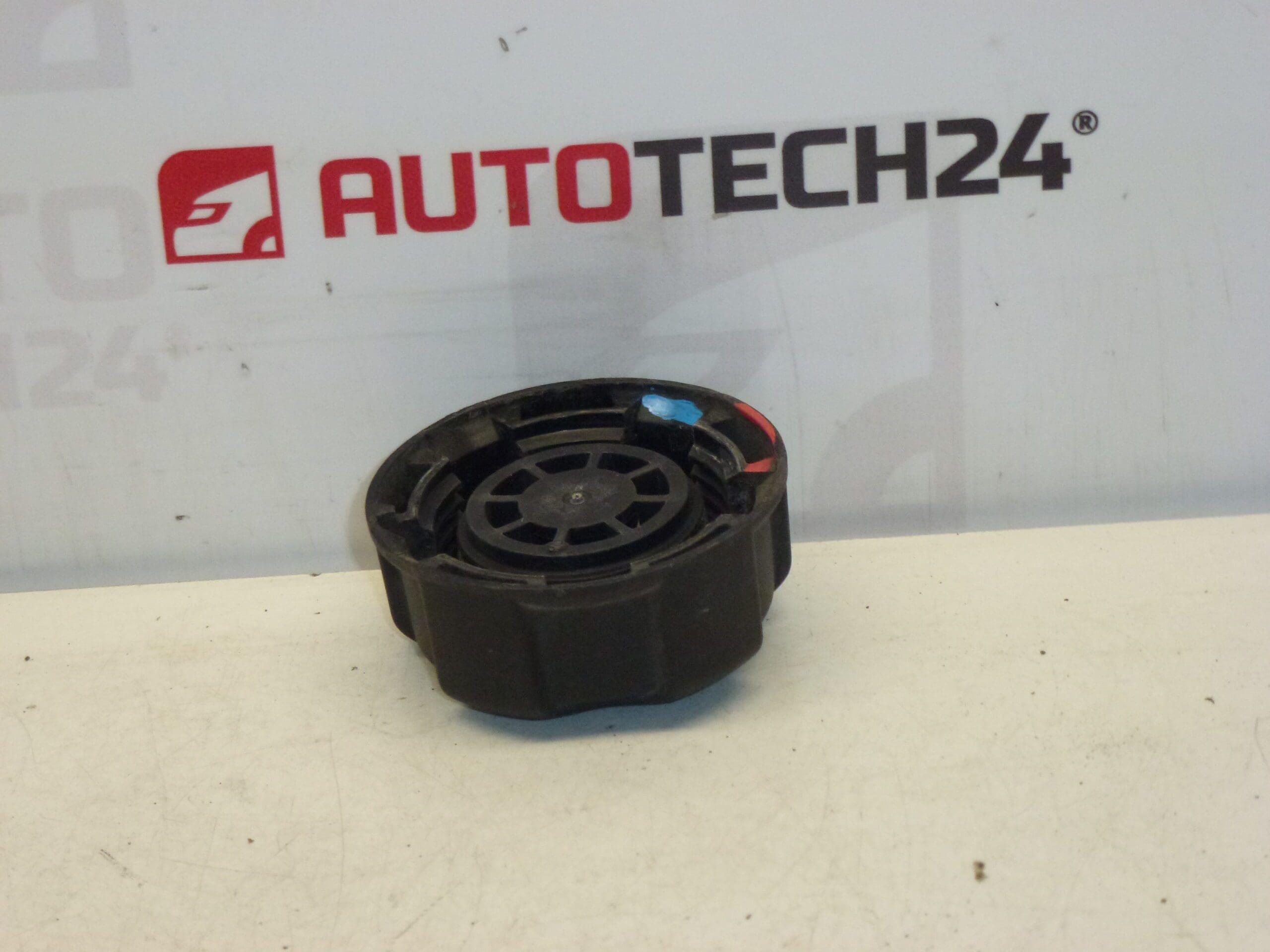 Expansiedeksel Citroën Peugeot 1304E4 - Afbeelding 2