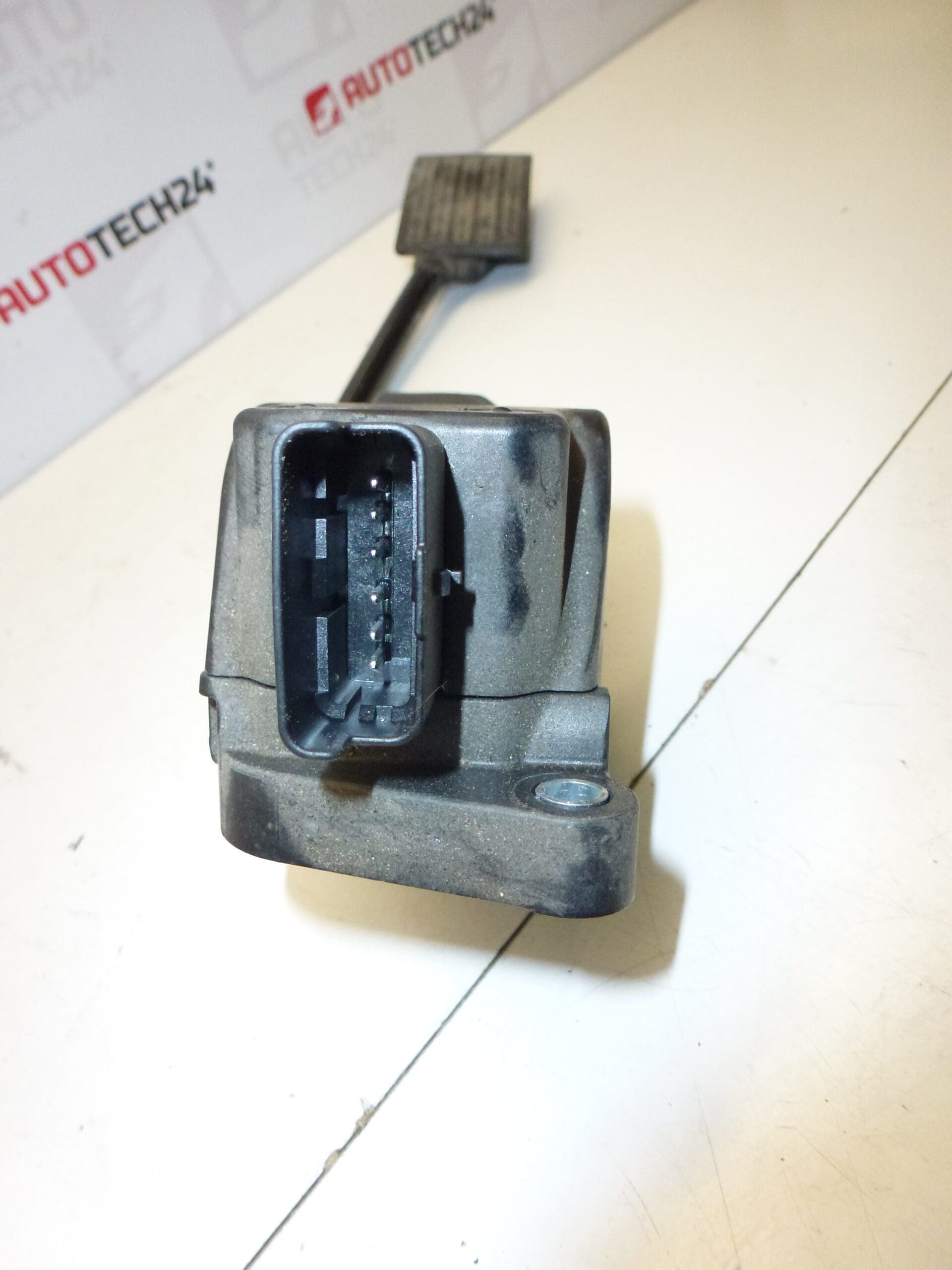 Gaspedaal Citroën Peugeot Bosch 0280755159 9686212980 1601EP