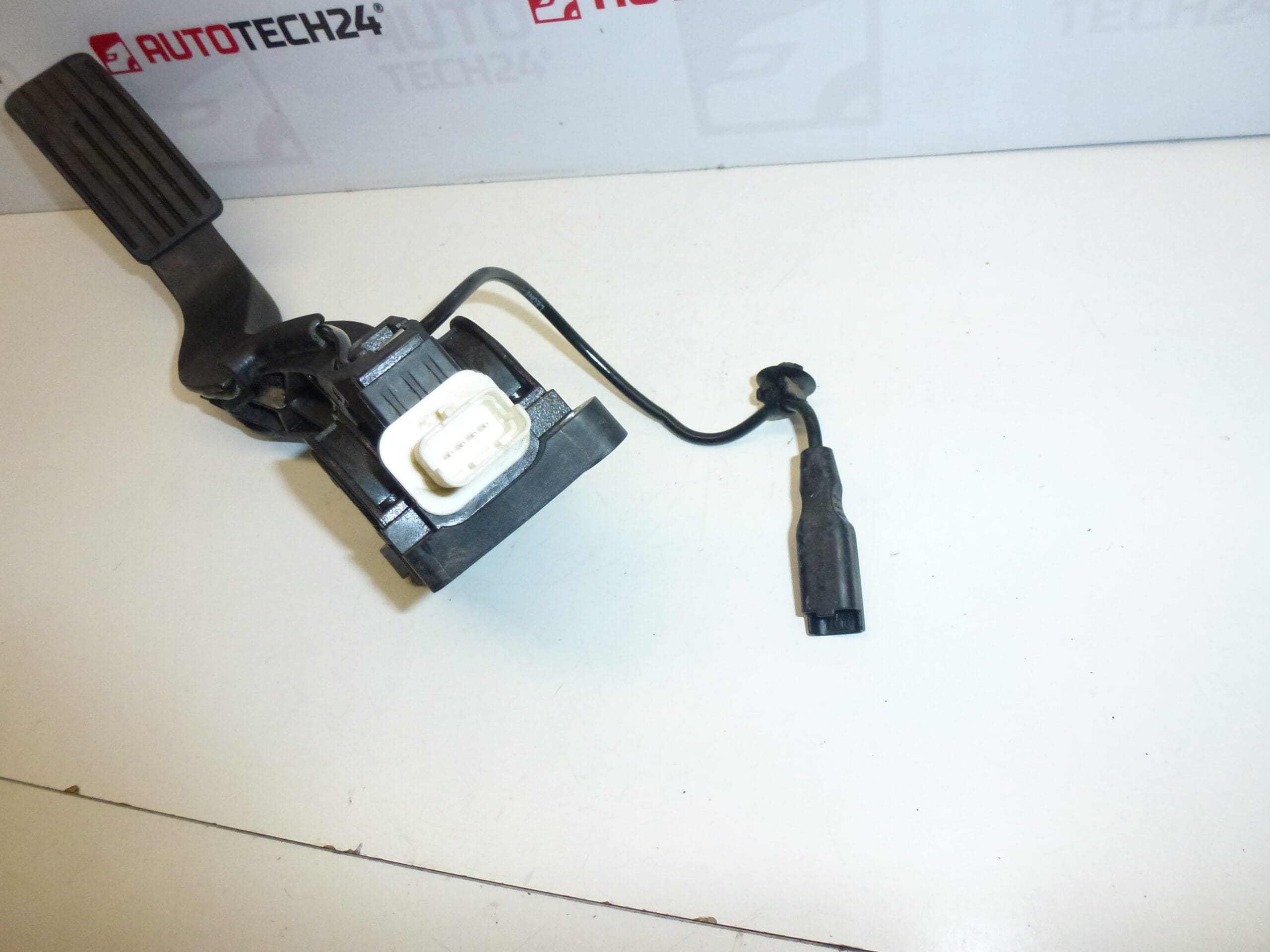 Gaspedaal Citroën Peugeot Bosch 0280755001 9650889180 1601P3