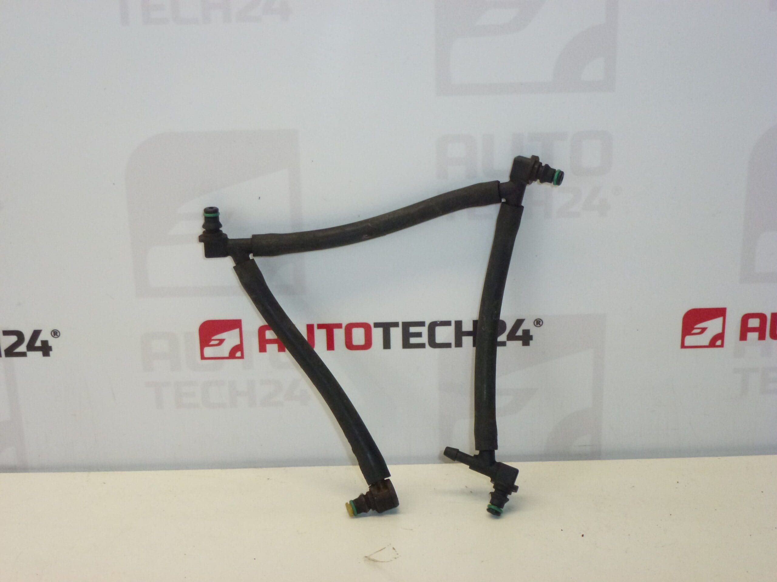 Overloopslangen Citroën Peugeot 1574Q1