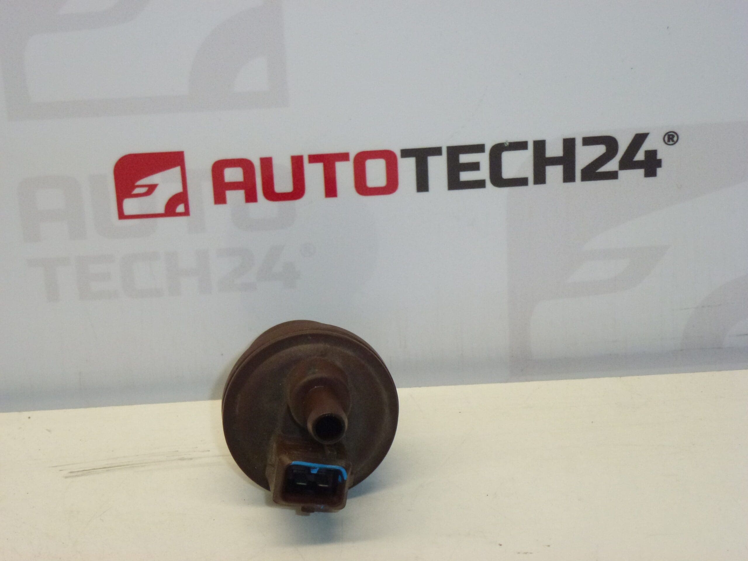 Actieve kool klep Citroën Peugeot 2580008C 16287G