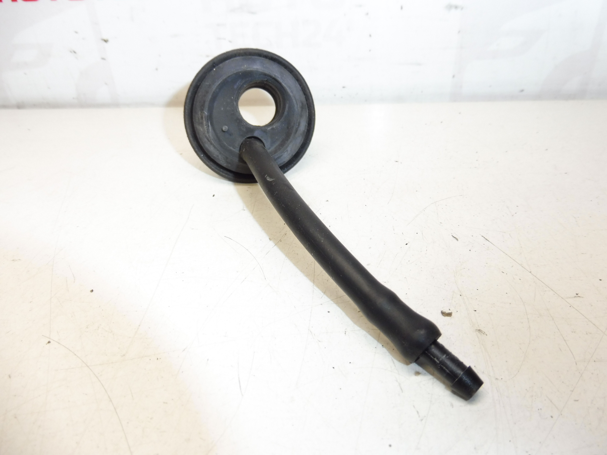 Achter glas wasmondspuit Citroën Peugeot 6438P9