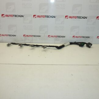 Injector kabelboom DELPHI Citroën Peugeot 2.0 HDI 9662908580 6569Y5