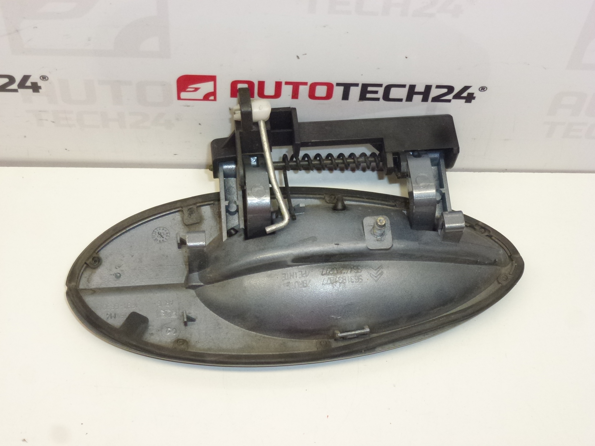 Portiergreep links achter Citroën C5 I en II 9631831077 9101S7 EYTC