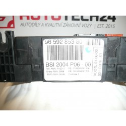 BSI 2004 P06-00 Citroen Peugeot 9659285380