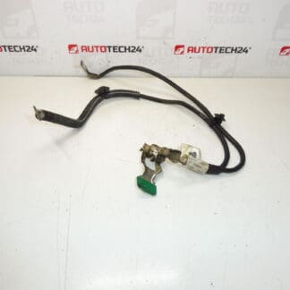 Citroën Peugeot 9661191580 minus bundel