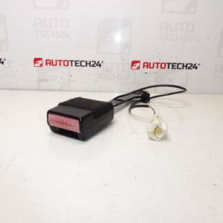 Passagier Paspoorthouder Peugeot 407 8973PV