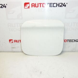 Peugeot 301 Citroen C-ELYSEE EWP 9677571480