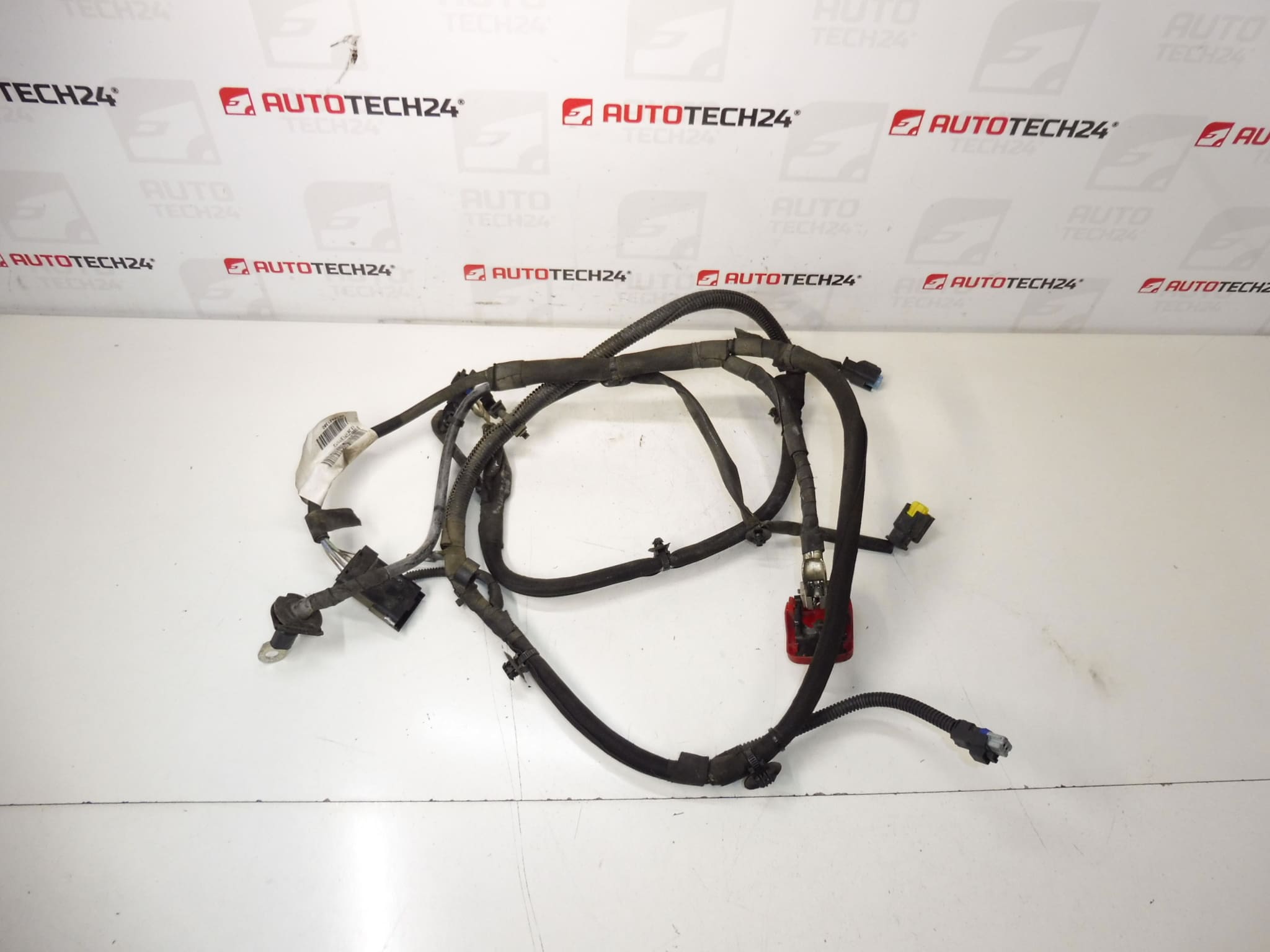 Plus bundel Citroën C-Elysée Peugeot 301 1.6 9676421380 9808241580