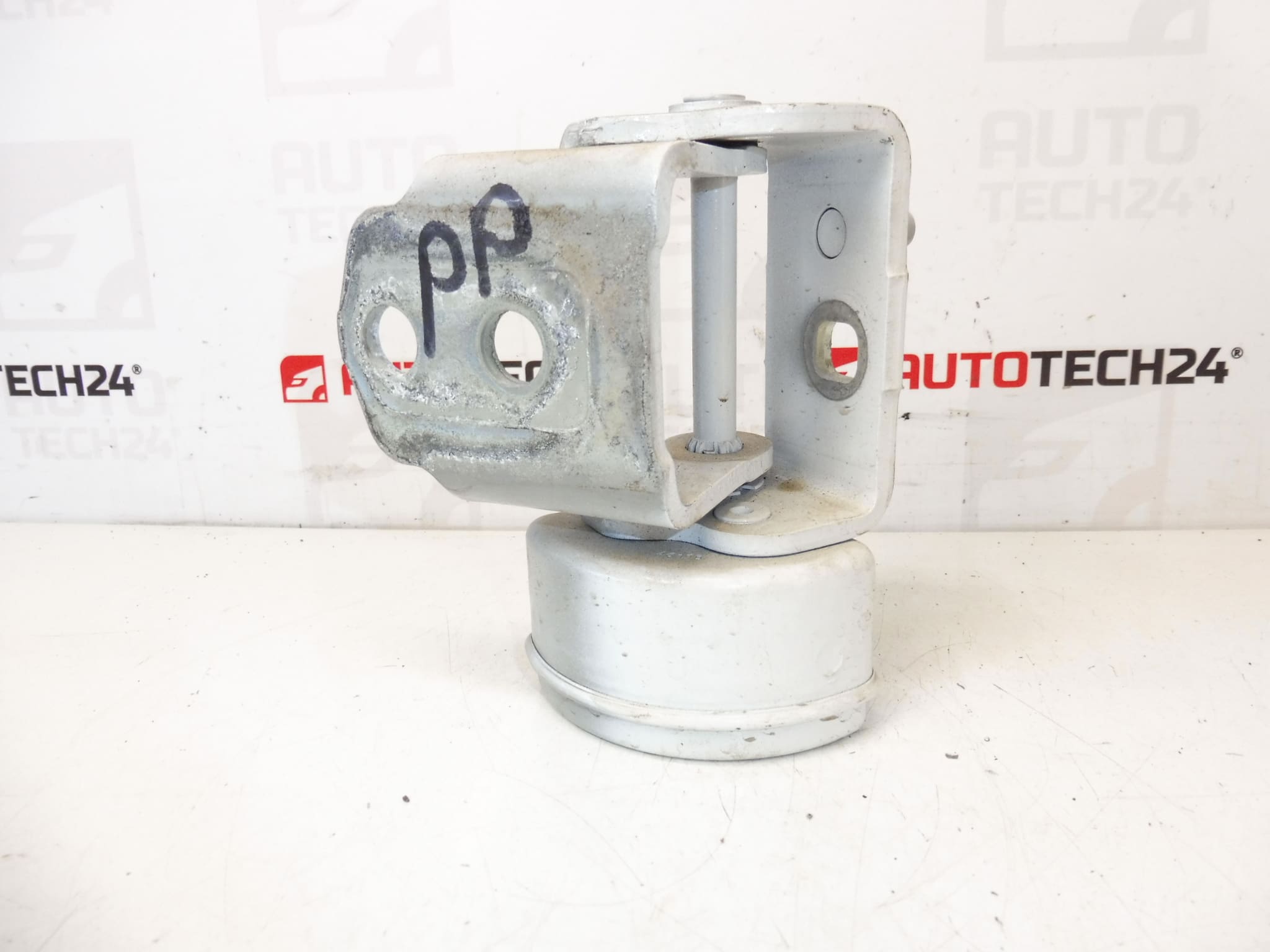 Begrenzer Voorrechter Portier Scharnier EWP PEUGEOT 207 26308980 9035T4 - Afbeelding 2