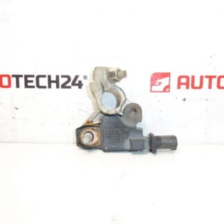 Citroën Peugeot 9666919780 Negatieve pooleenheid