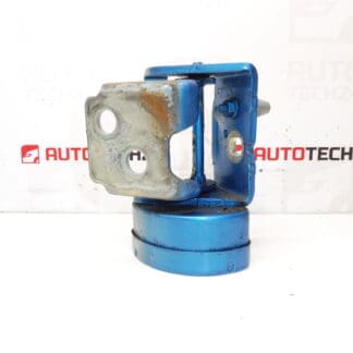 De rechter voordeur stoppen KGWC Citroen C3 Picasso 9035EN