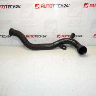 Vloeibare pompslang 1