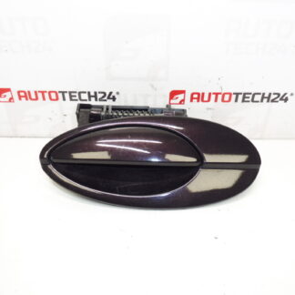 Portiergreep links achter Citroën C5 I en II 9631831077 9644270277 9101S7 EFBD