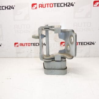 De rechter voordeur stoppen EWPB Citroen C3 Picasso 9035EN