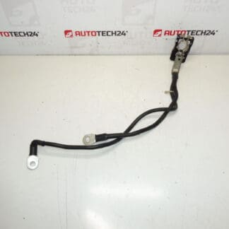 Een positieve bundel voor de batterij Citroën Peugeot 1612229980