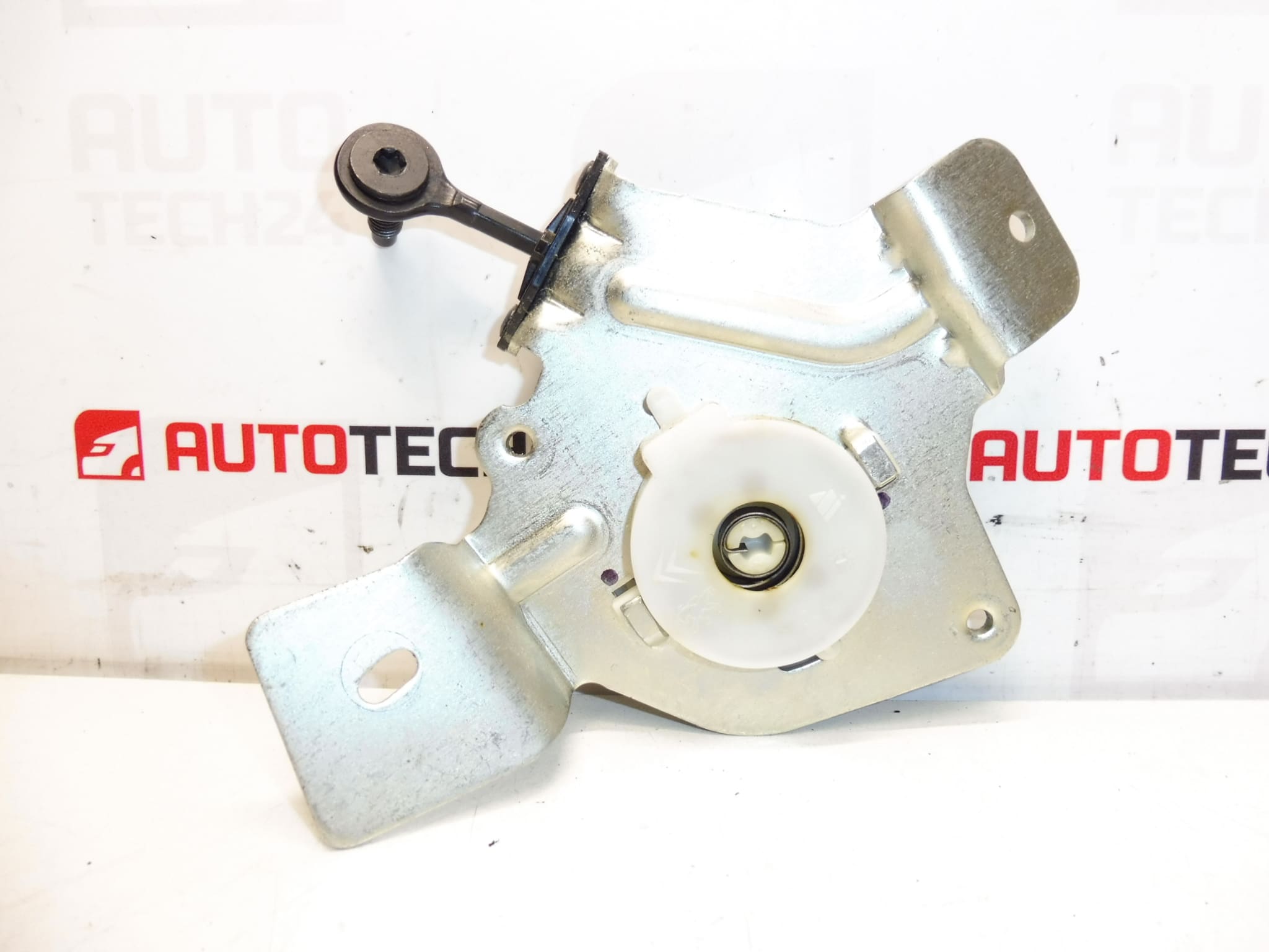 Peugeot 3008 achterklepkabel 9683313980 8724H8 - Afbeelding 2