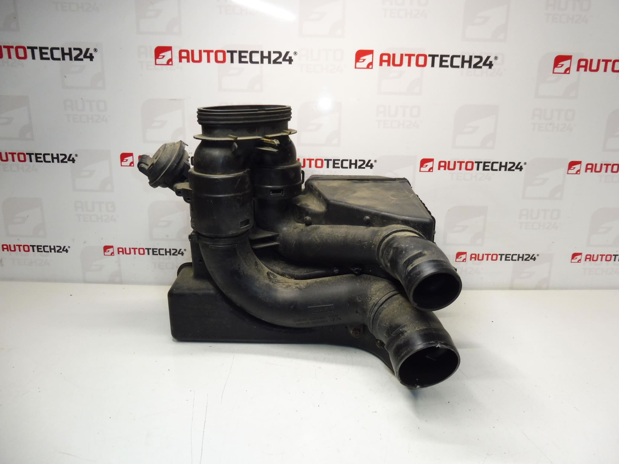 Filterkast Citroën Peugeot 2.0 i 9643586380 9646189680
