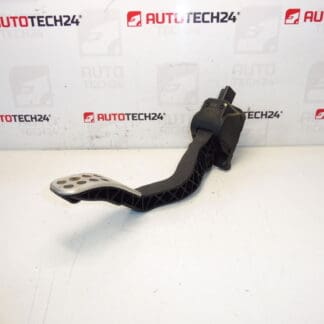 Gaspedaal Peugeot 307 CC Bosch 0280755081 9680566080 1601T7
