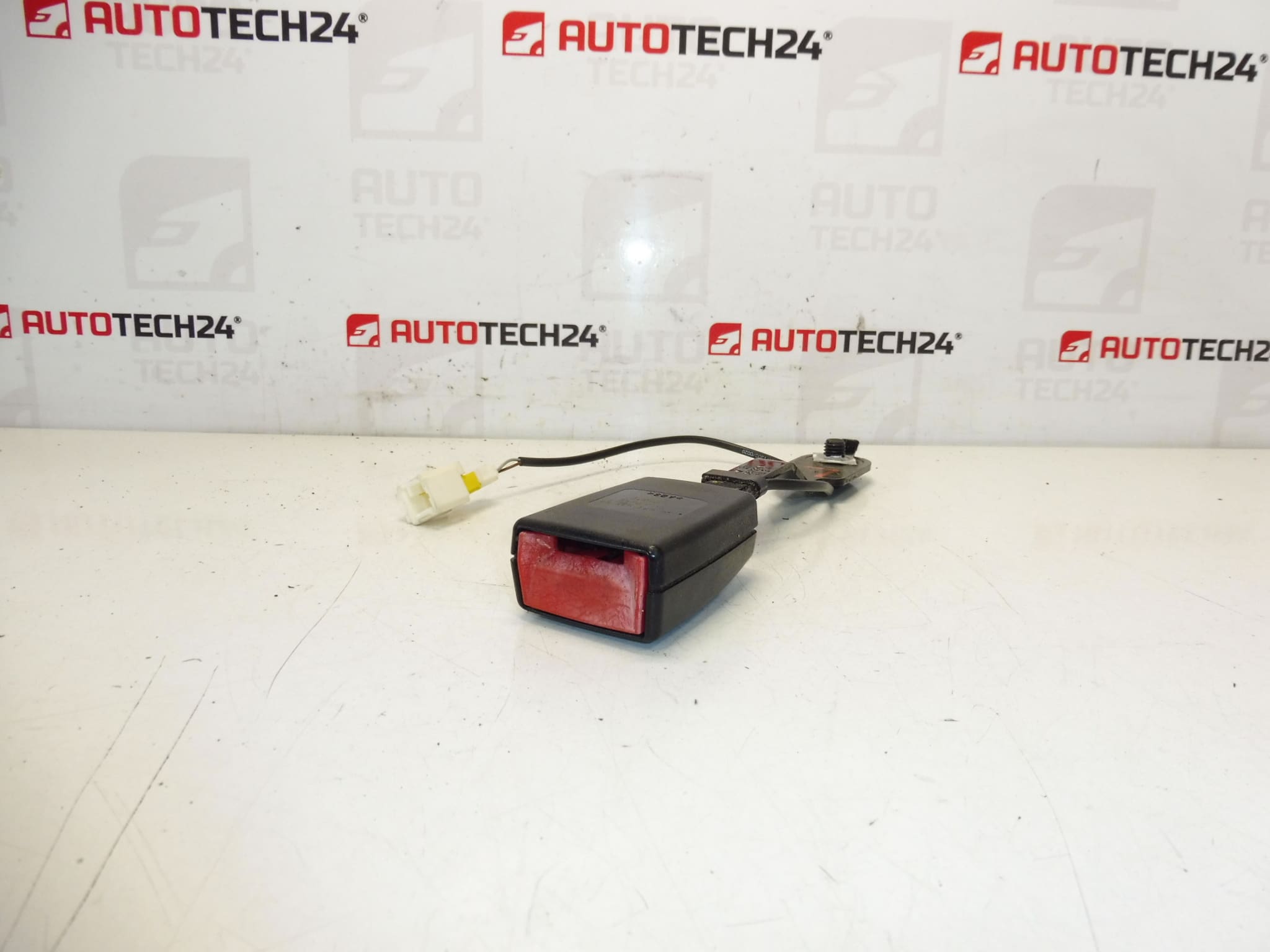 Veiligheidspaspoorthouder voor Citroen C3 II A51 auto's