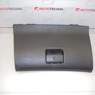 Opbergkast Peugeot 307 8220TZ