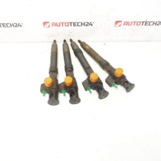 Injectieset Bosch 2.0 HDI tellerstand 141000 km 9674984080
