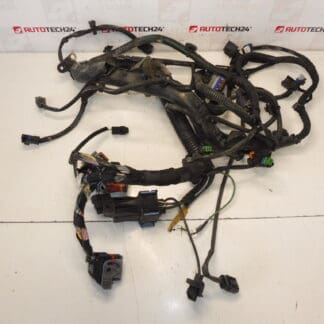 Kabelboom Citroën Peugeot 2.0HDI RHJ 9684608680 6569RY