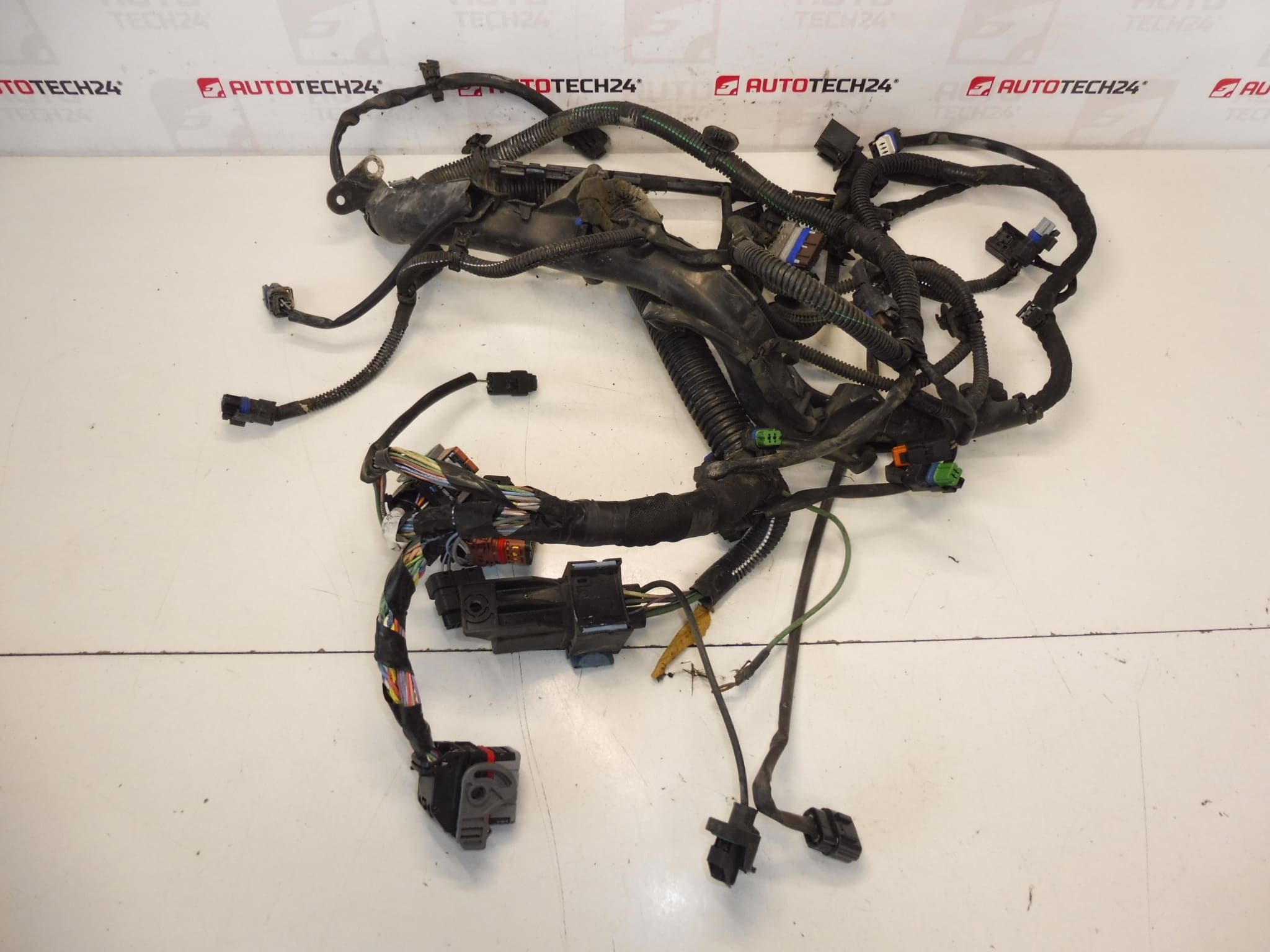 Kabelboom Citroën Peugeot 2.0HDI RHJ 9684608680 6569RY