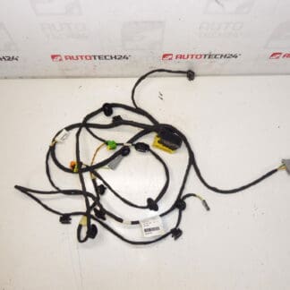 Passagiersstoel harnas Citroen C4 Picasso Valeo 6505W1 5243584